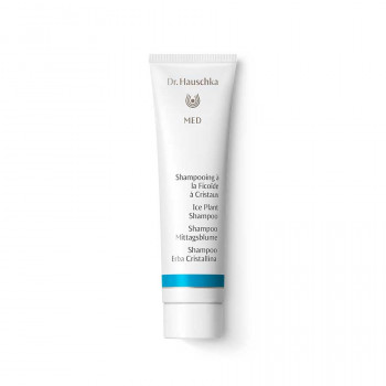 Shampoo Mittagsblume