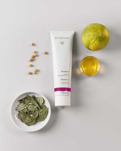 Dr. Hauschka Shampoo