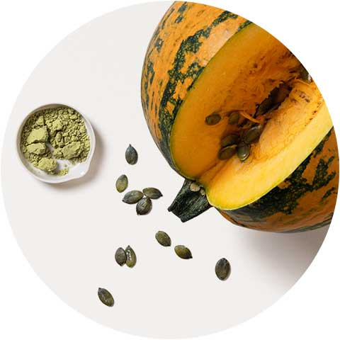 Steirischer Ölkürbis