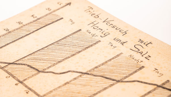 Dr. Rudolf Hauschka - Diätetik