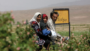 Dr. Hauschka Ätherisches Rosenöl aus dem Iran Dr. Hauschka Ätherisches Rosenöl aus dem Iran