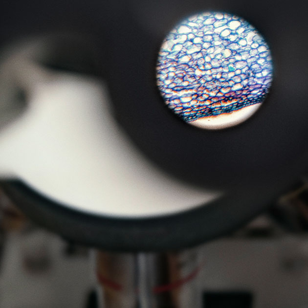 Ein anderer Blick auf Forschung.