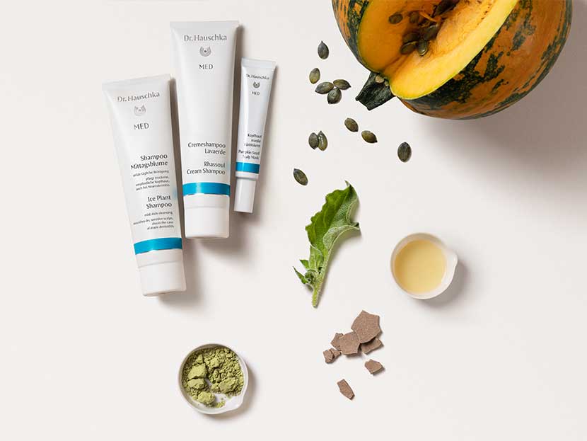 Kopfhautpflege und Haarpflege von Dr. Hauschka MED Kopfhautpflege und Haarpflege von Dr. Hauschka MED