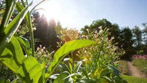 Dr. Hauschka Fragen zum Umweltschutz Dr. Hauschka Fragen zum Umweltschutz